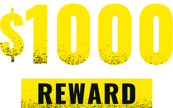 First deposit bonus